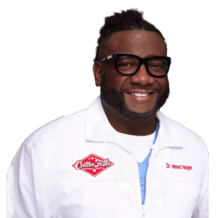Dr Vernard Hodges Dr Vernard Hodges
