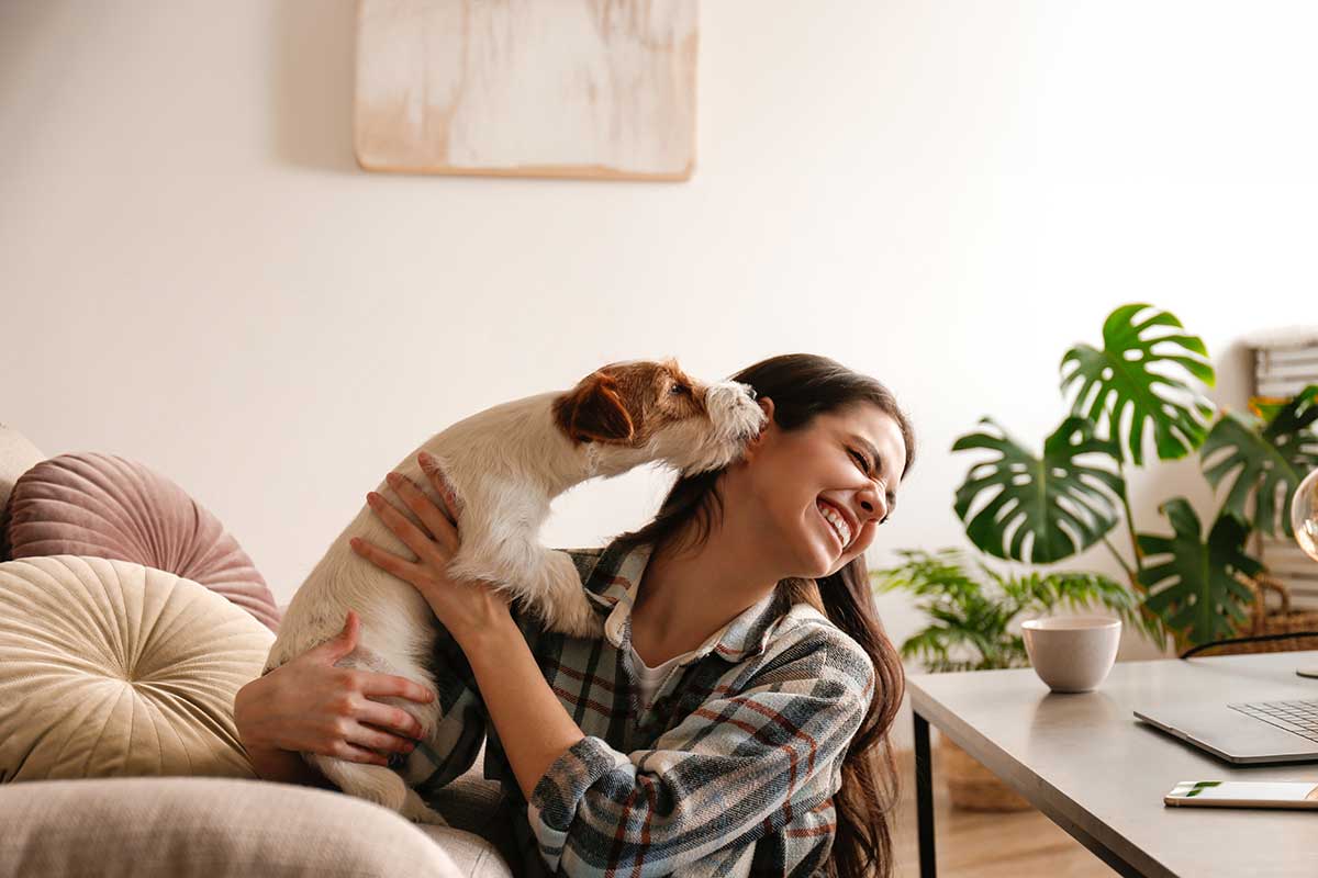 A dog loving his human A dog loving his human