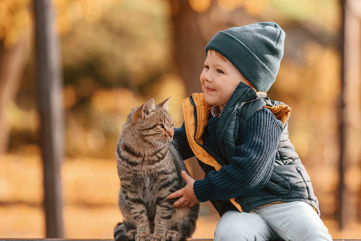 A boy and his cat A boy and his cat