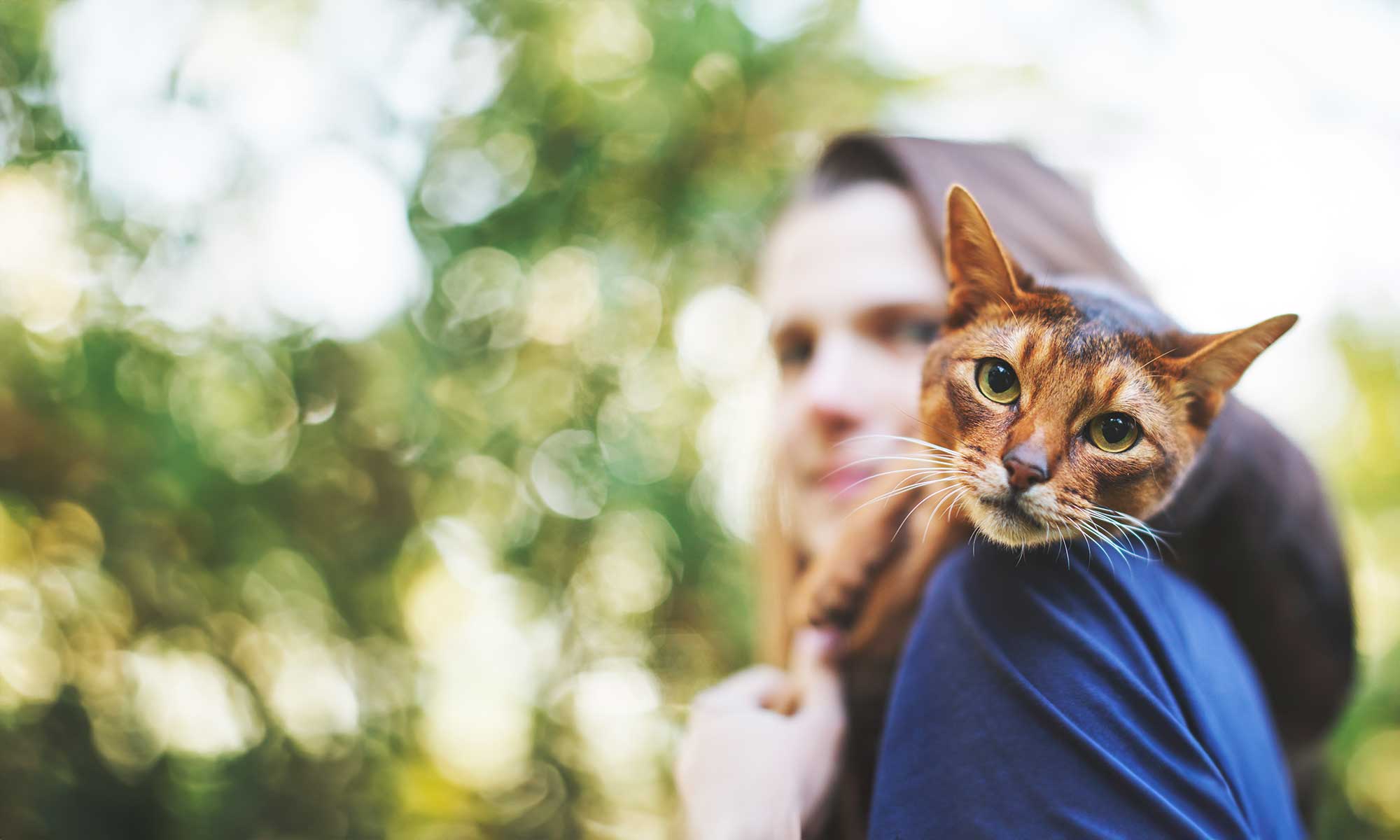 A person with a cat outdoors
