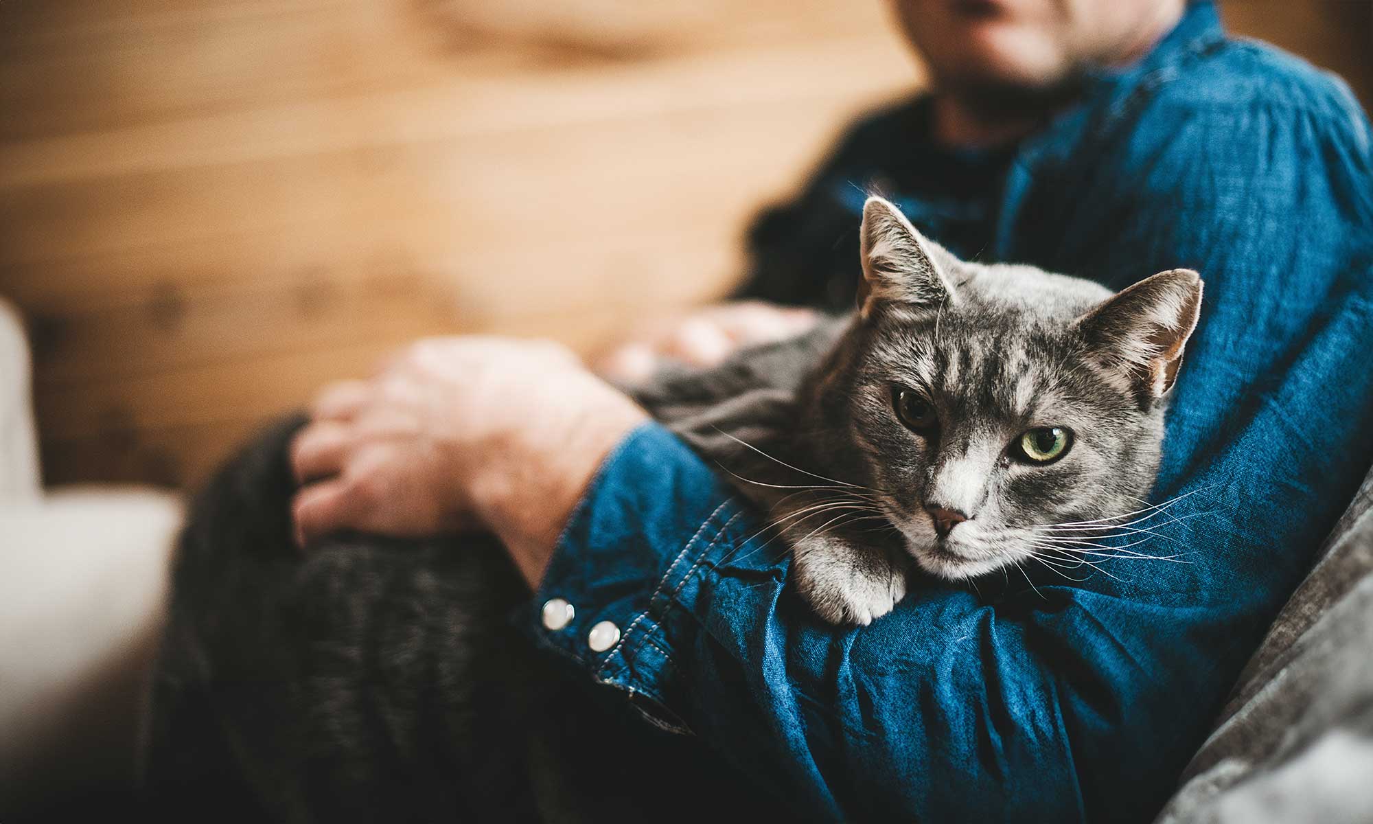 A man with his cat